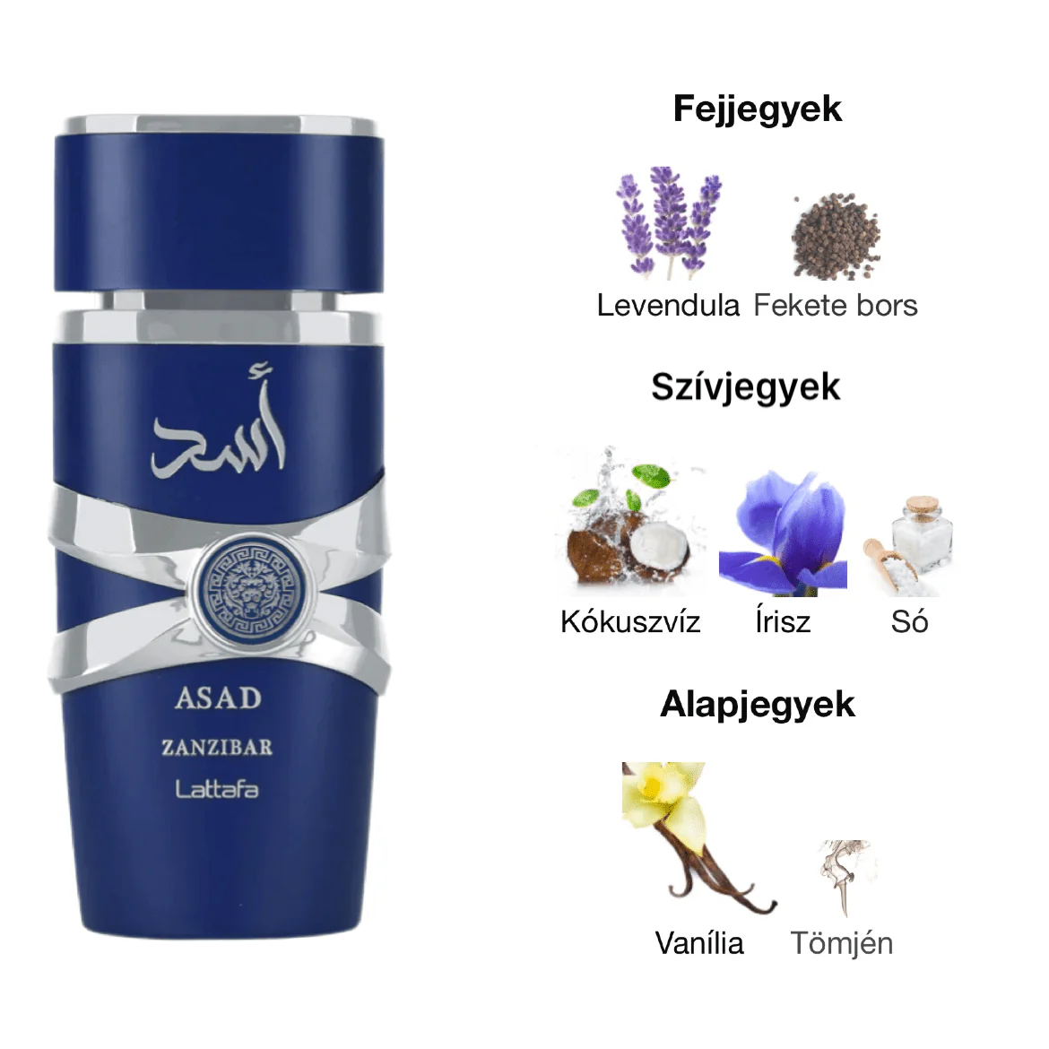 lattafa asad zanzibar edp 100 ml