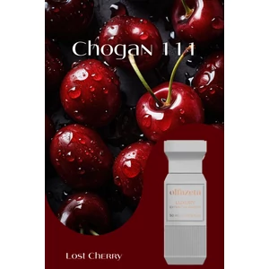 Chogan 111 Unisex luxus parfüm EDP 50ml - Image 2